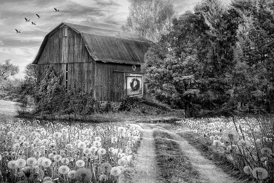 Barn in Early Autumn Black and White Photograph by Debra and Dave Vanderlaan