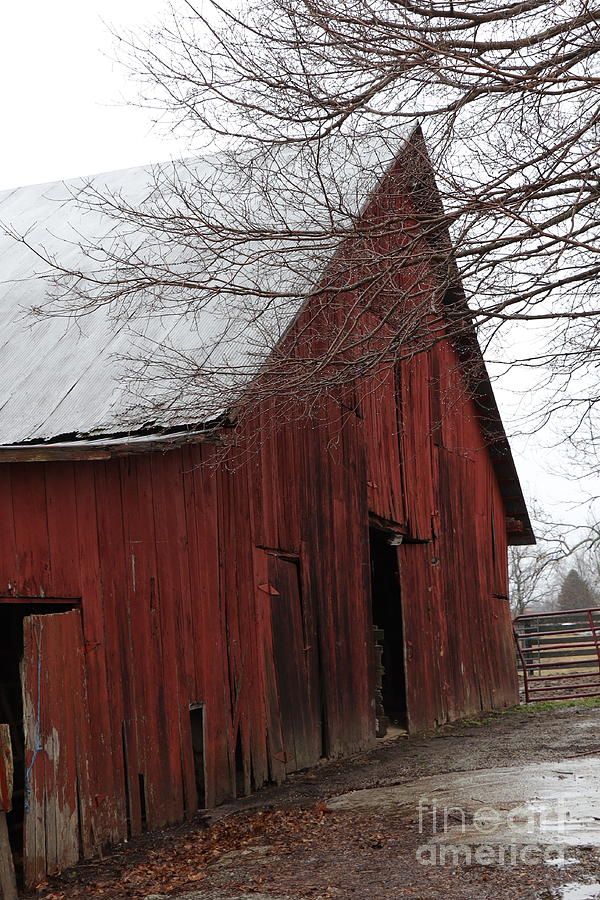 Barn In Indiana No 18 Photograph By Dwight Cook