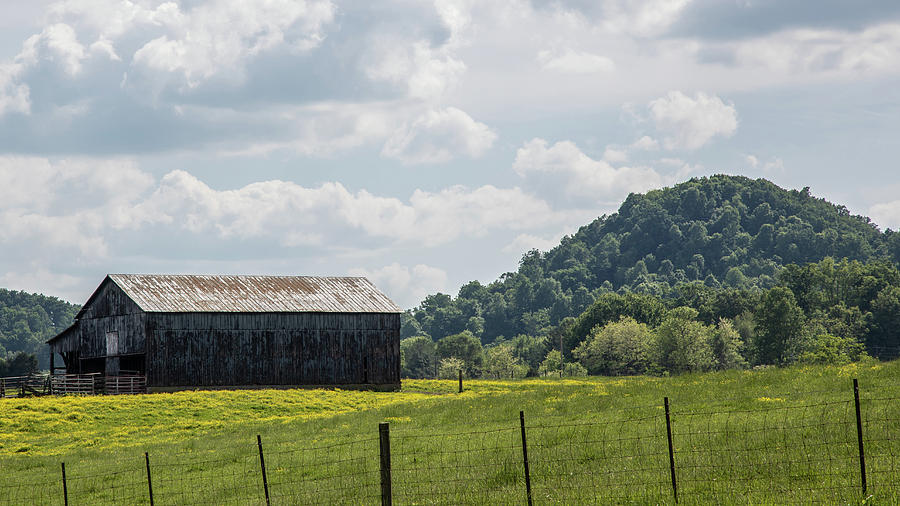 Barn in Kentucky Back Country  Photograph by John McGraw