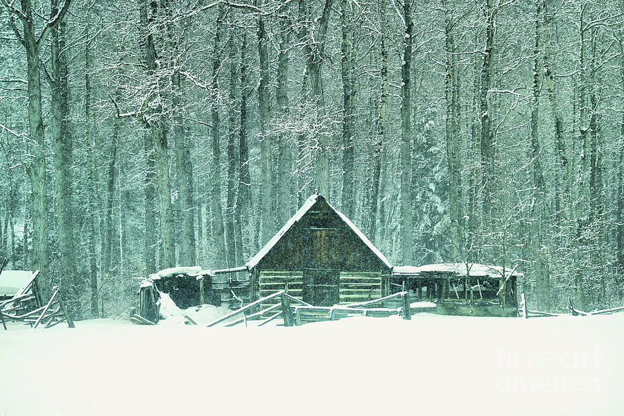Barn In Snowfall Photograph