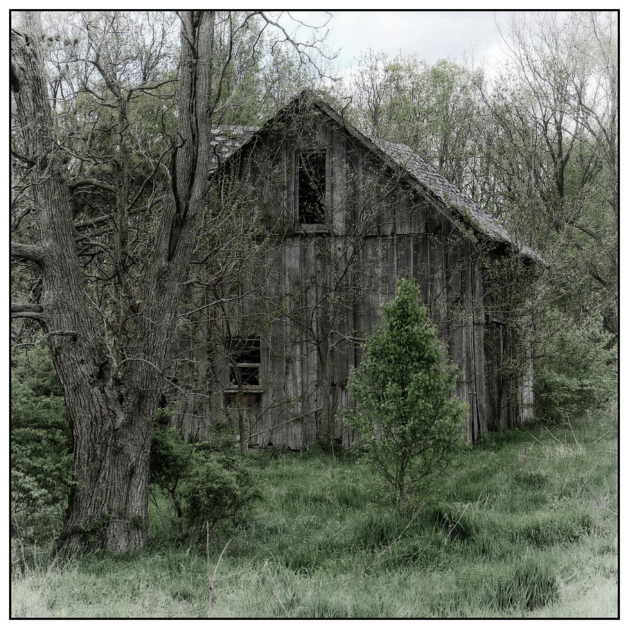 Barn in the Woods Photograph by Scott Kingery