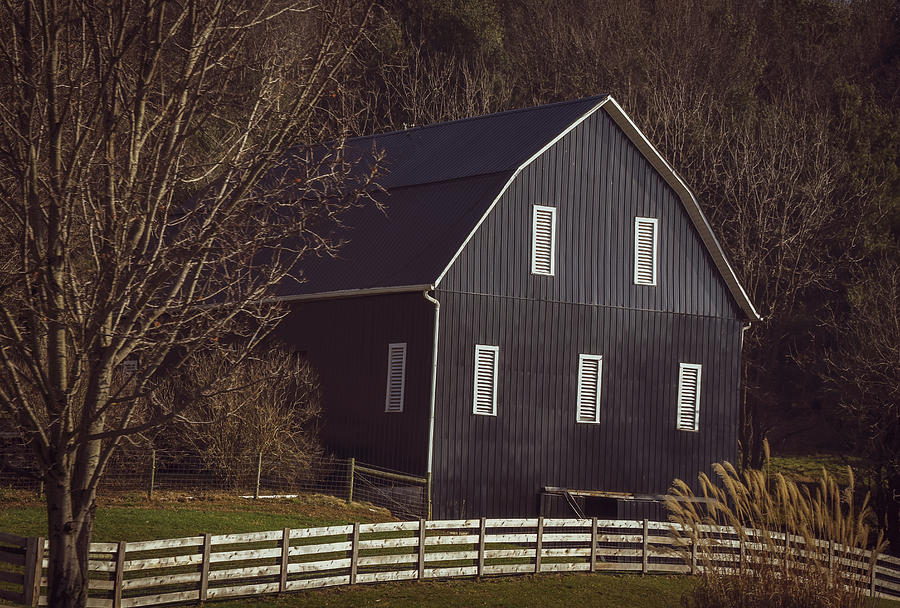 Barn Living is the Place for Me Photograph by Michelle Wittensoldner