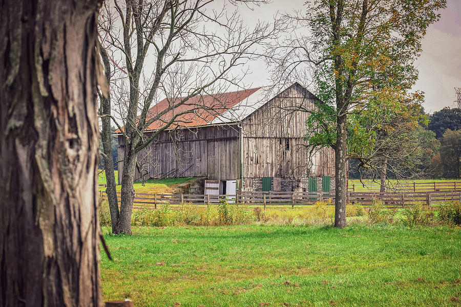 Barn Photograph by Michelle Wittensoldner