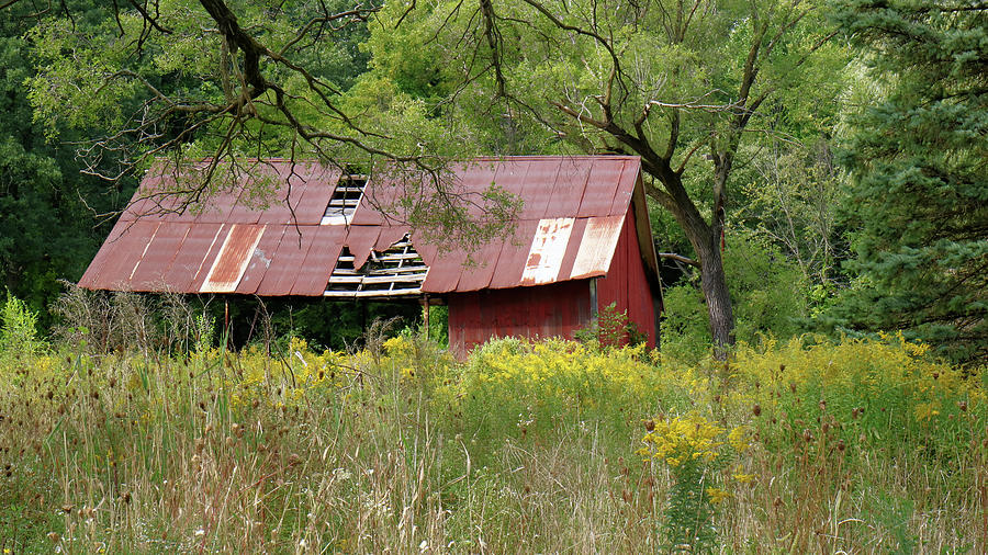 Barn On The Edge Of The Woods Photograph