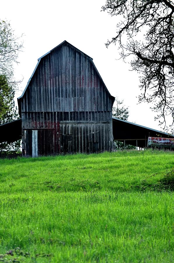 Barn On The Hill Photograph by Jerry Sodorff