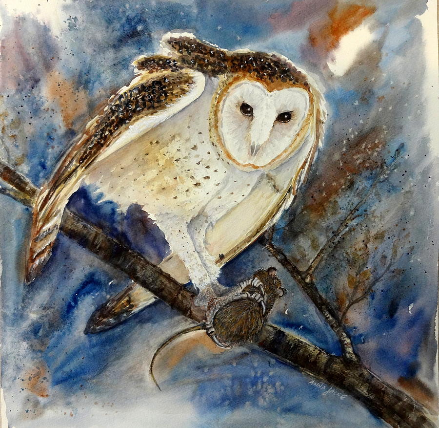 Barn Owl by Anna Jacke Barn Owl by Anna Jacke