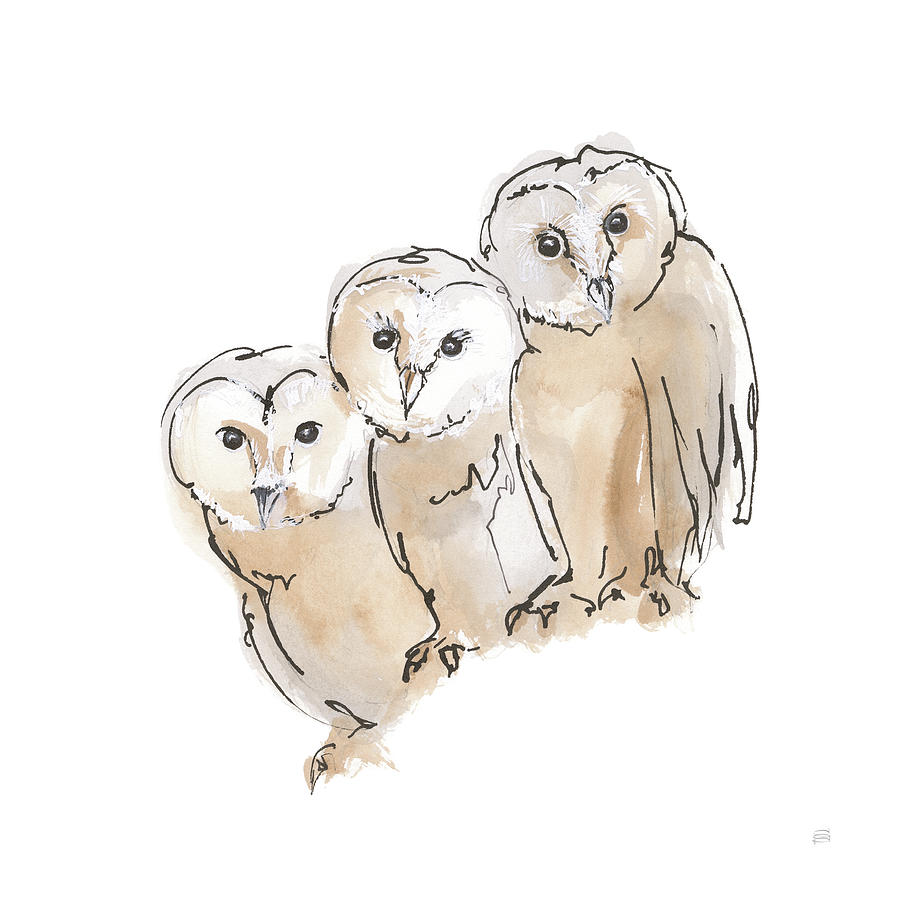 Animal Painting - Barn Owl IIi by Chris Paschke