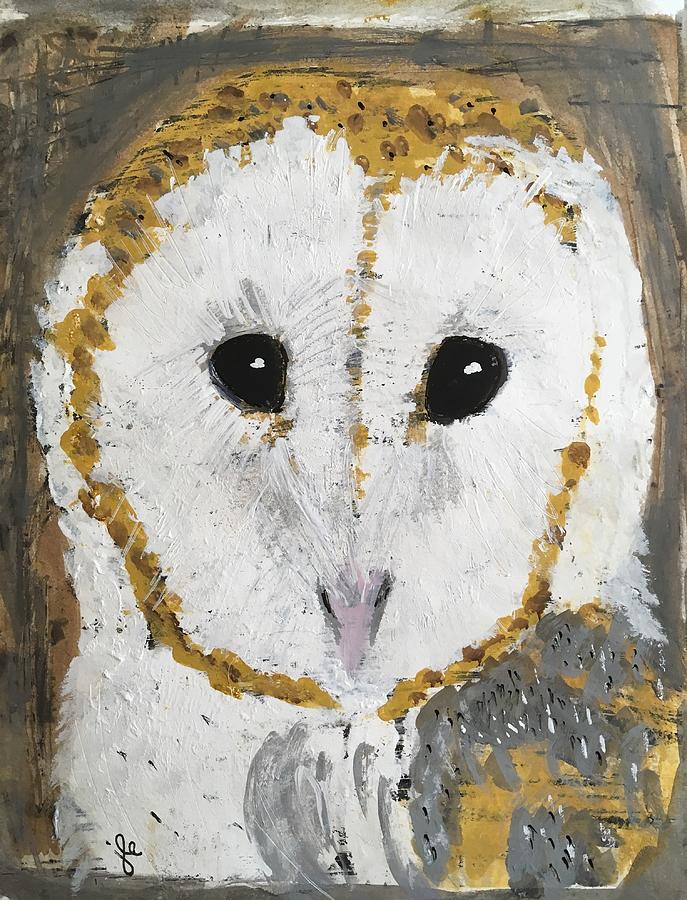 Barn Owl Painting by Jeri Edwards - Fine Art America