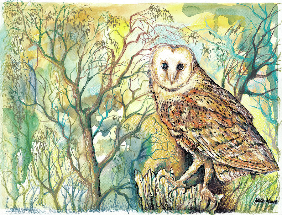 Barn Owl Painting by Kevin Derek Moore
