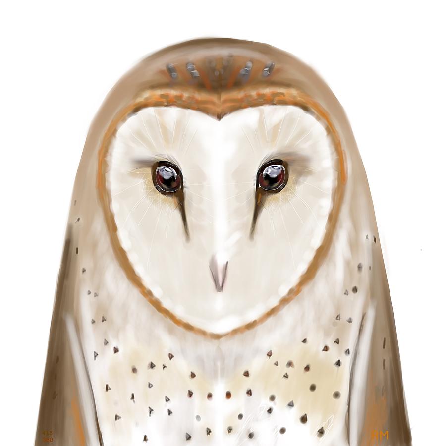 Barn Owl Digital Art By Ry M