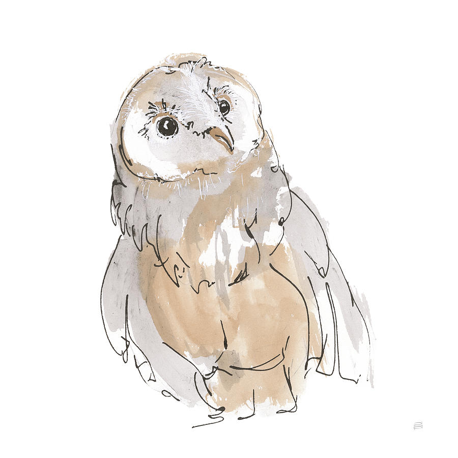 Animal Painting - Barn Owl V by Chris Paschke