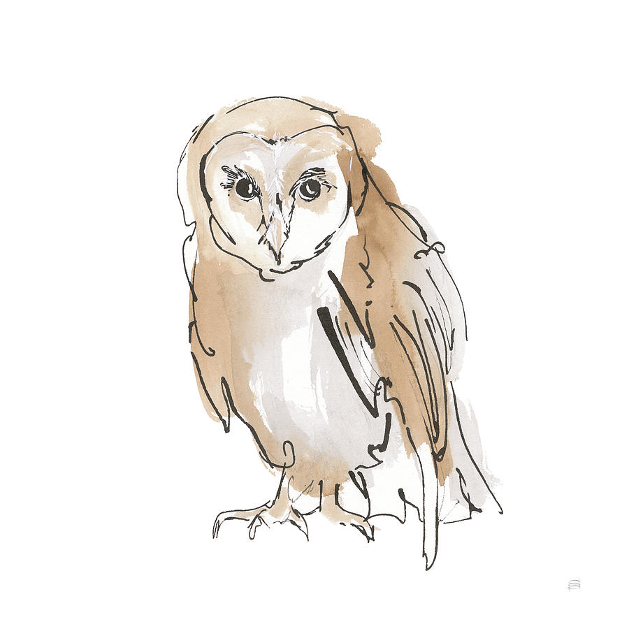 Animal Painting - Barn Owl Vii by Chris Paschke