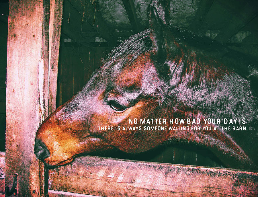 BARN PLAY quote Photograph by Dressage Design