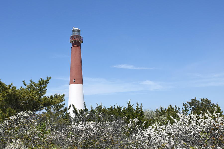 Barnegat Lighthouse 105 Photograph by Joyce StJames