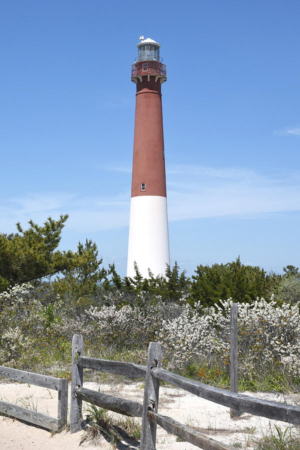 Barnegat Lighthouse 106 Photograph by Joyce StJames