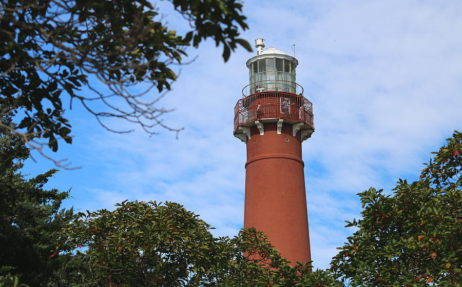 Barnegat Lighthouse 2 Photograph by Living Color Photography Lorraine Lynch