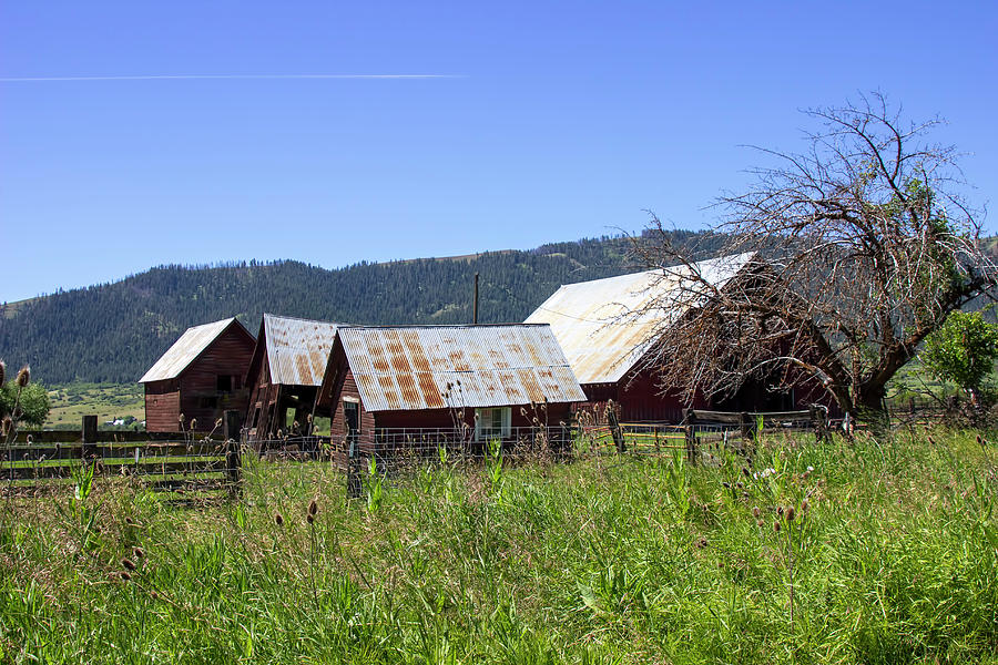 Barns in Eastern Oregon Photograph by Cathy Anderson