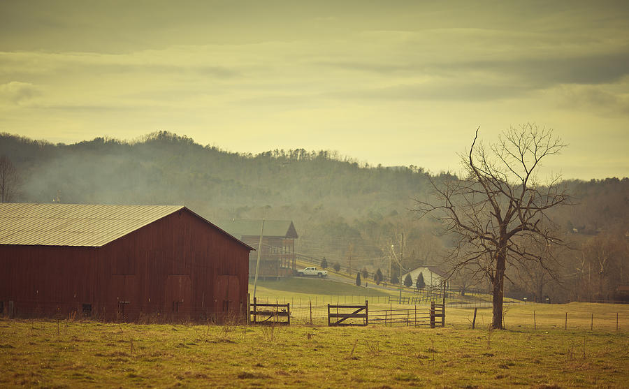 Barnyard In Wears Valley Photograph by Thepalmer