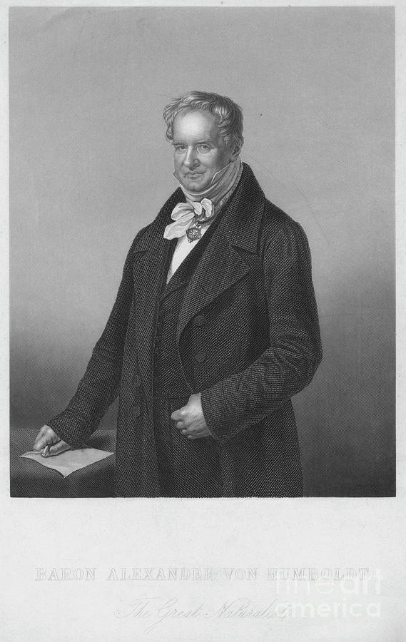 Baron Alexander Von Humboldt Drawing by Print Collector