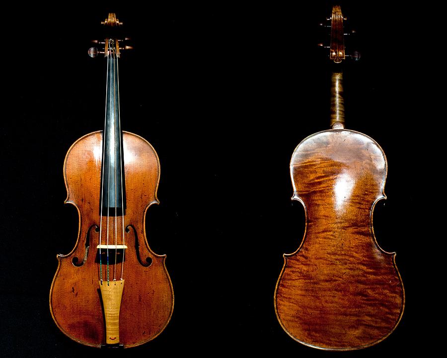 Baroque Viola Photograph by Victor Gil Gazapo