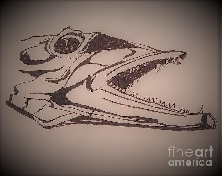 Barracuda Attack Drawing By Matt Starr