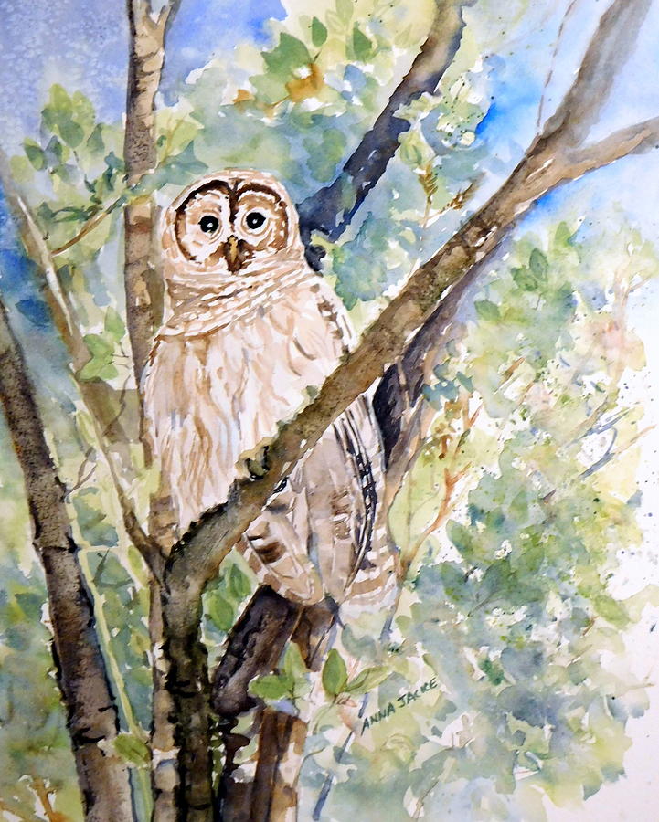 Hoot Goes There Painting by Anna Jacke