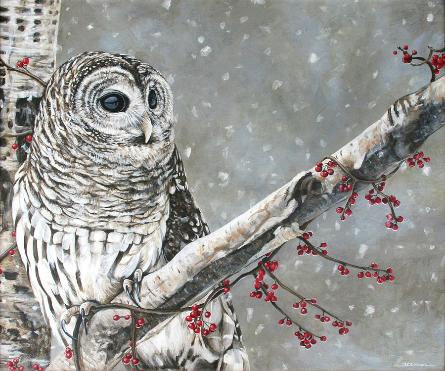 Barred Owl Painting by Marion Aitken - Fine Art America