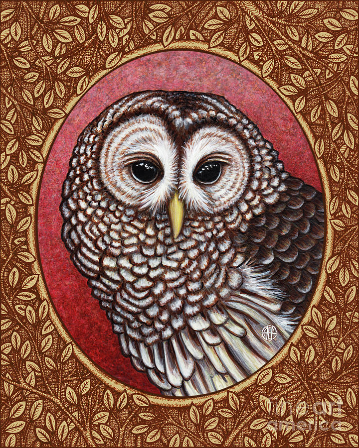 Barred Owl Portrait - Brown Border Painting by Amy E Fraser