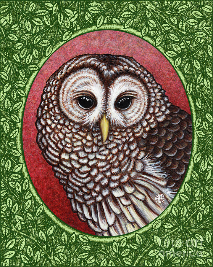 Barred Owl Portrait - Green Border Painting by Amy E Fraser