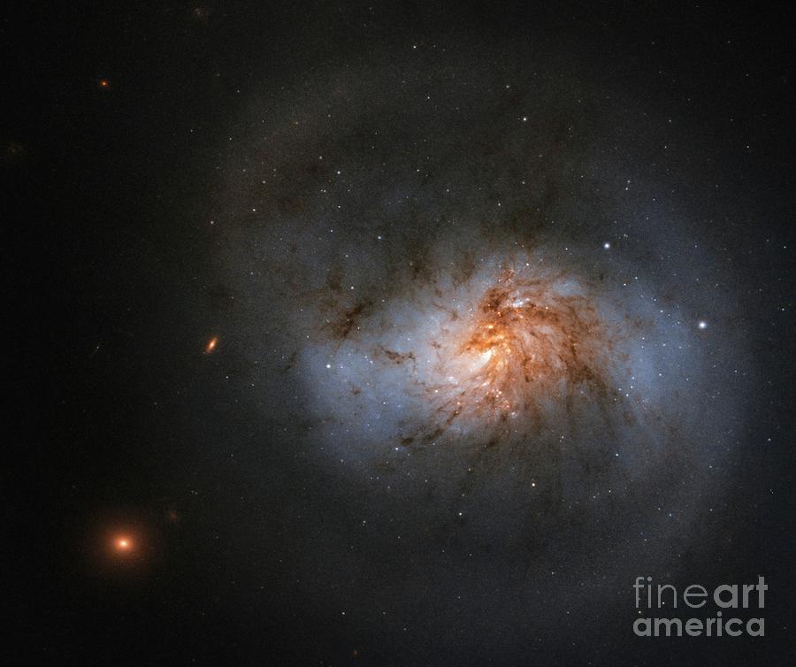 Barred Spiral Galaxy Photograph by Esa/hubble & Nasa, A. Seth/science Photo Library