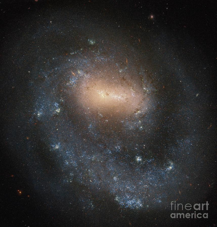 Barred Spiral Galaxy Photograph by Esa/hubble & Nasa, I. Karachentsev/science Photo Library