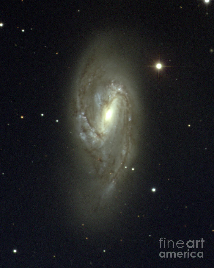Barred Spiral Galaxy M66 Photograph by Noao/aura/nsf/science Photo Library