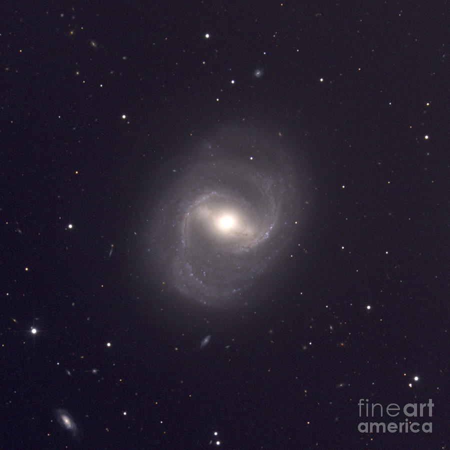 Barred Spiral Galaxy M91 Photograph by Noao/aura/nsf/science Photo Library