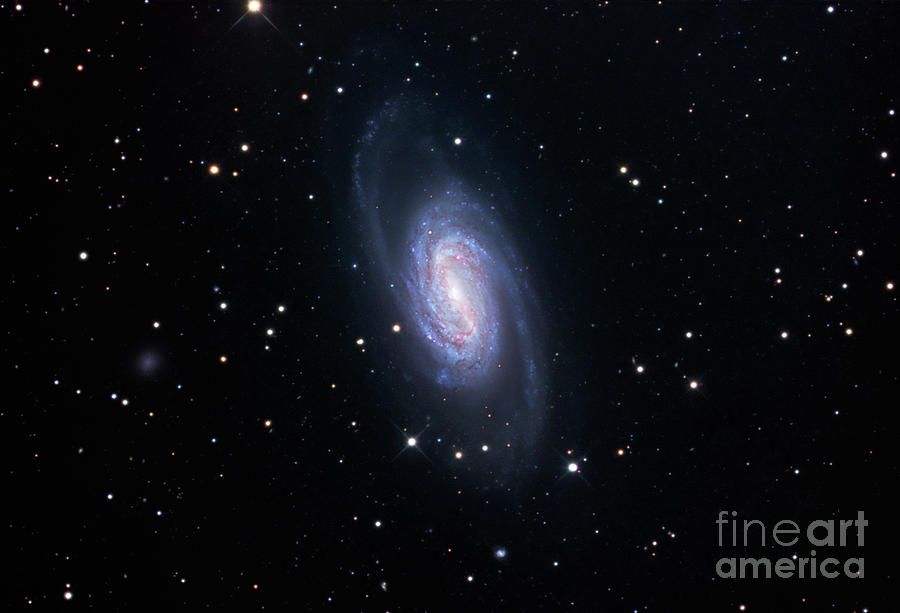 Barred Spiral Galaxy (ngc 2903) Photograph by Robert Gendler/science Photo Library