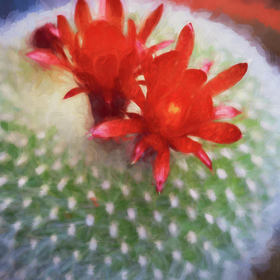 Barrel Cactus Blossom 91 Photograph by Rich Franco