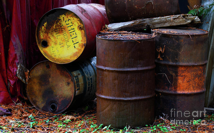 Barrels Of Fun Photograph by Bob Christopher