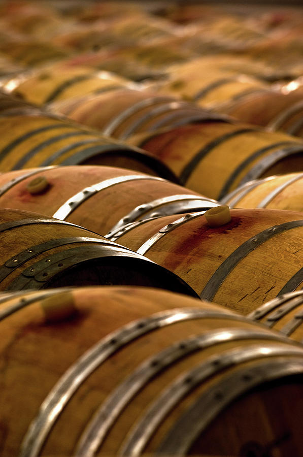 Barrels Of Wine Photograph by Stefano Oppo