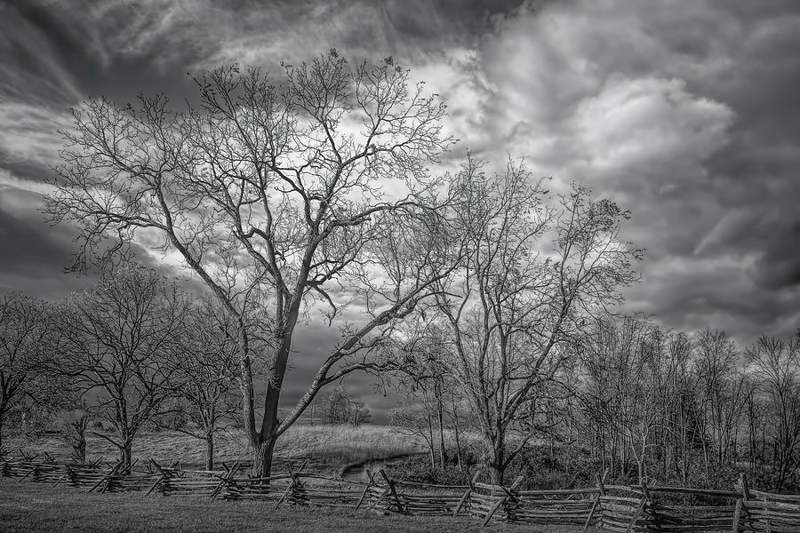 Barren Fields Photograph by John M Bailey