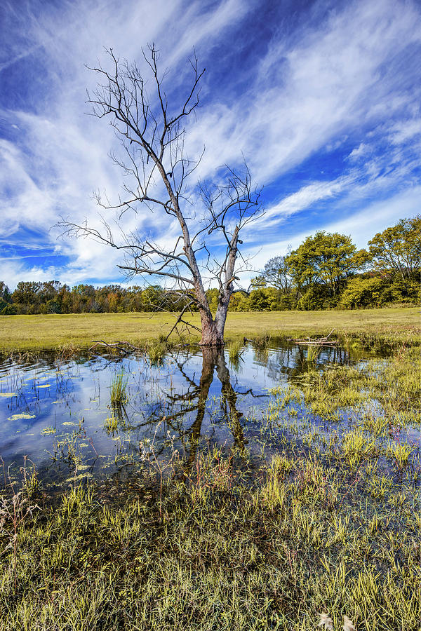 Barren Reflections - Rural Oklahoma Landscape Photograph by Gregory Ballos