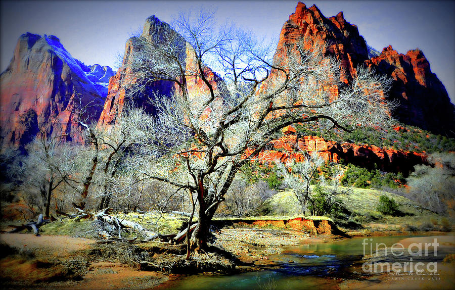 Barren Tree At Zion National Park By Cabin Creek Arts Photograph