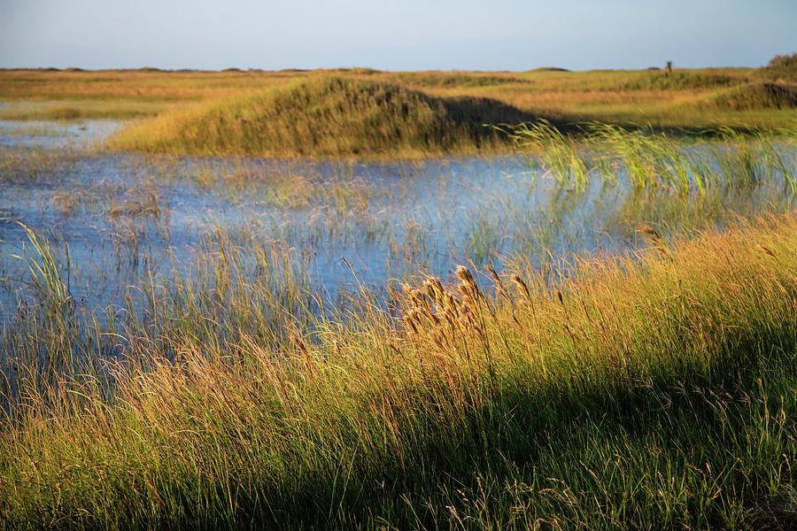 Barrier Photograph by Larry Ditto - Fine Art America