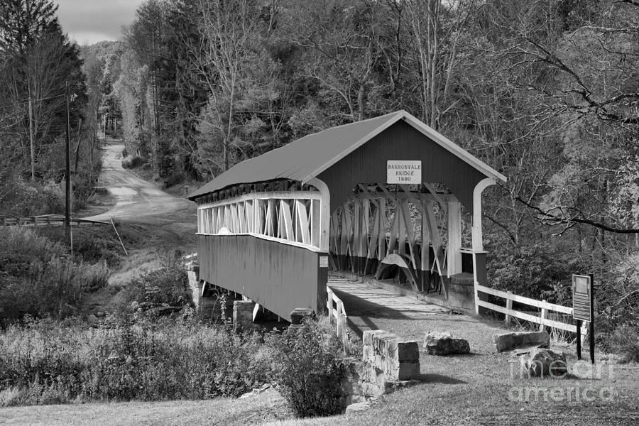 Barronvale Bridge In The Fall Black And White Photograph by Adam Jewell