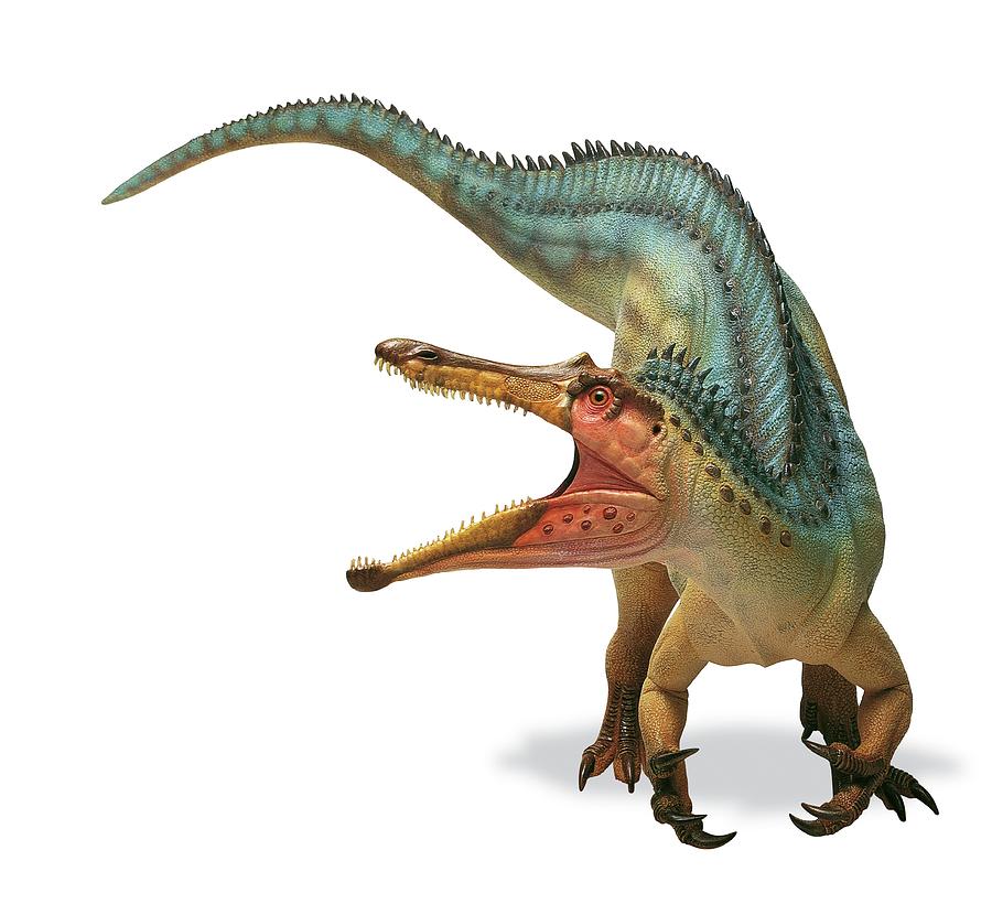 Collection 27+ Stock Photos show me a picture of a baryonyx Sharp Collection 27+ Stock Photos show me a picture of a baryonyx Sharp