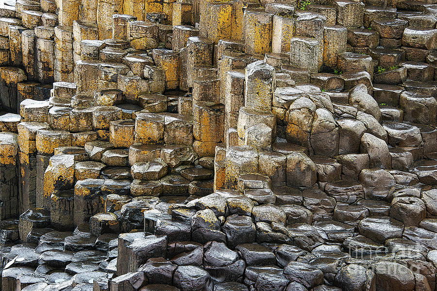 Basalt Stepping Stones and Columns Photograph by Bob Phillips