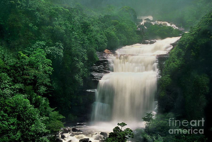 base of angel falls canaima national park venezuela by Dave Welling base of angel falls canaima national park venezuela by Dave Welling