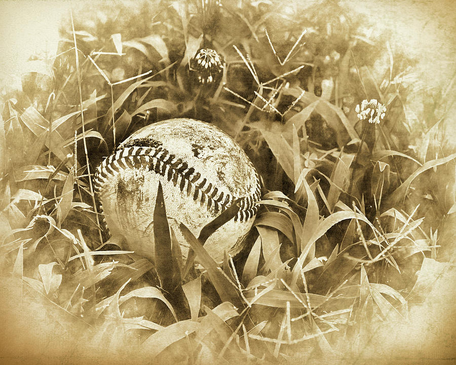 Baseball Weathered And Worn Sepia Tones Photograph by Ann Powell