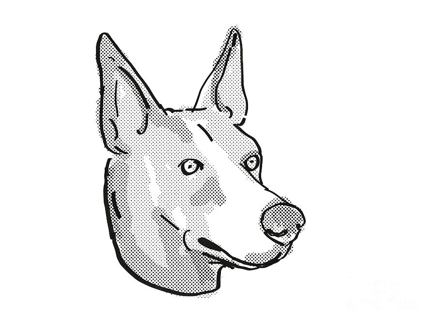 Basenji Dog Breed Cartoon Retro Drawing Photograph
