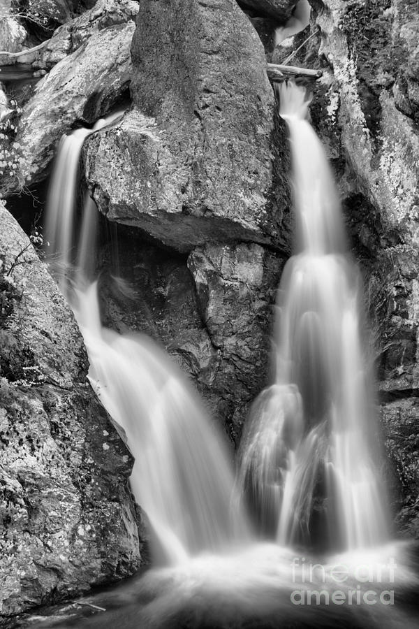 Bash Bish Falls Double Streams Black And White Photograph by Adam Jewell
