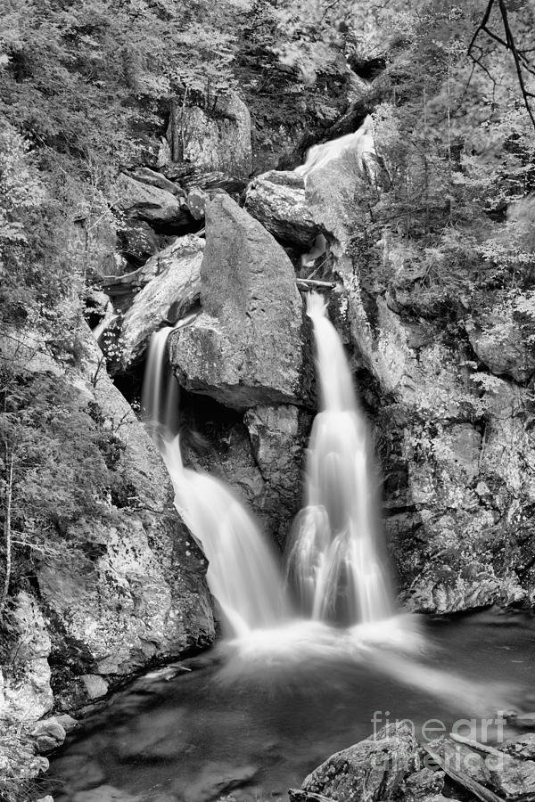 Bash Bish Falls Emerald Pool Black And White Photograph by Adam Jewell