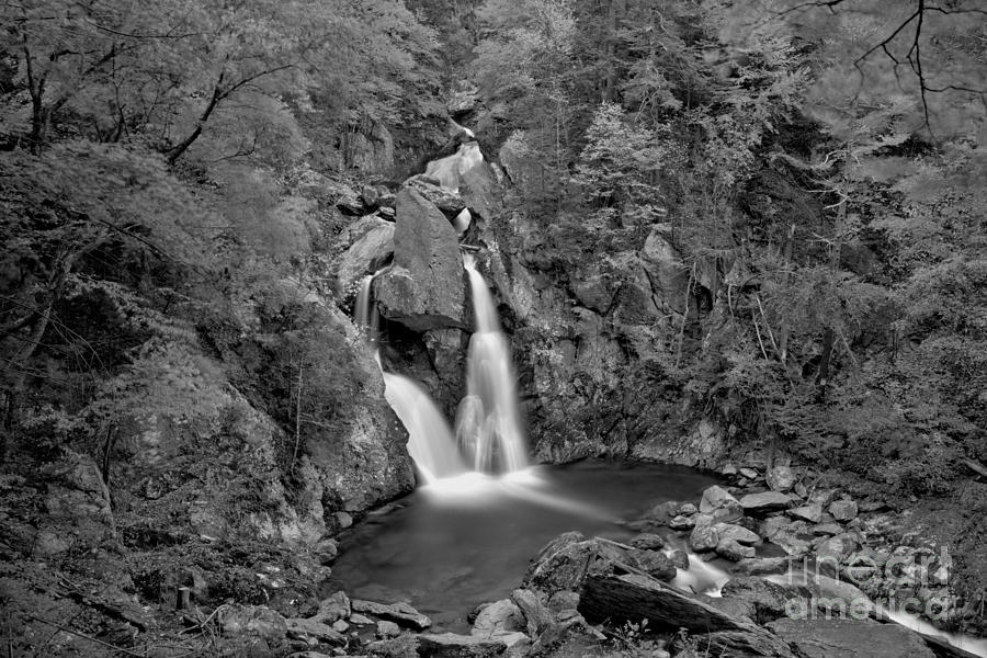 Bash Bish Falls Fall Foliage Landscape Black And White Photograph by Adam Jewell